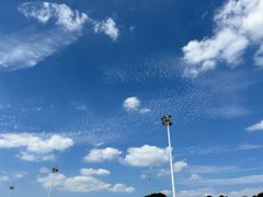 -碧海金沙