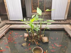 -都氏家DUSJOY(翡翠城店)