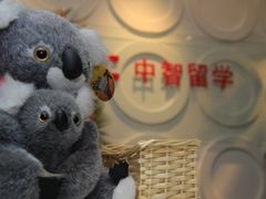 -上海澳盛教育信息咨询有限公司(中信泰富广场店)