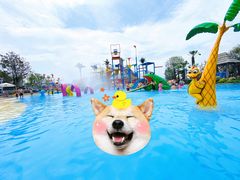 -南京银杏湖乐园