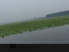 -微山湖红荷湿地景区