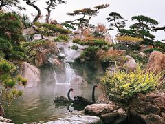 -罗红摄影艺术馆