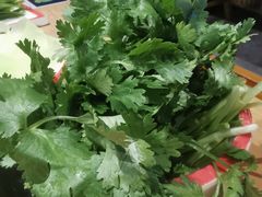香菜-潘小辣鲜肉老火锅
