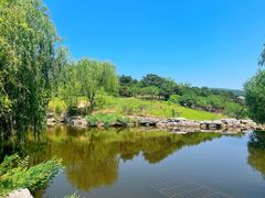 -北京西山国家森林公园