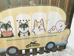 -柴犬高等学院·狗咖·柴犬售卖·宠物训练