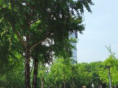 -重庆市江北嘴中央商务区中央公园