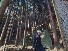 -山王坪喀斯特国家生态公园