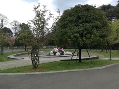 -中国大熊猫保护研究中心雅安碧峰峡基地