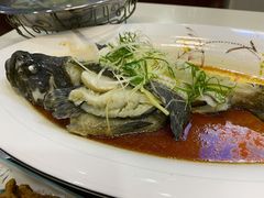 -鑫悦楼煎蟹·16年海鲜大排档
