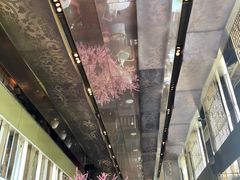 -金轩中餐厅 Jin Xuan(浦东丽思卡尔顿酒店)