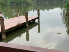 -白鹭湾湿地公园