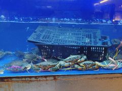 -白仁仔· 活烤海鲜 宵夜(豫园店)