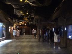 -华夏文旅海洋公园