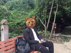 -寻龙山风景旅游区