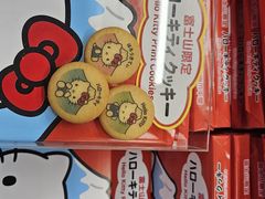 -富士山吉田線五合目