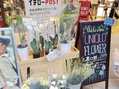 -优衣库(银座店)