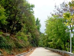 android_upload_pic-广州市石门国家森林公园