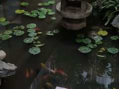 -绣园·茶食宴(湘绣博物馆店)