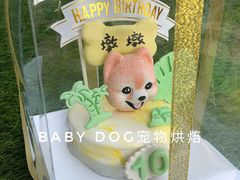 宠物蛋糕-BABYDOG宝贝狗宠物乐园(欧洲城店)