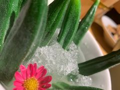 -胡桃里音乐酒馆(罗湖HALO广场店)