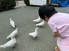 -蓝精灵乐园·世茂精灵之城主题乐园