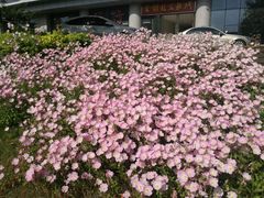 -万达广场(盐城盐都店)