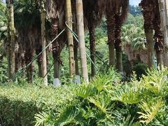 -重庆海昌加勒比海水世界