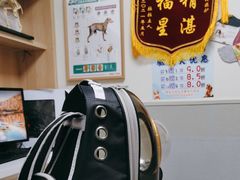 -谐和益家动物医院·免疫绝育·血液透析·宠保定点医院(高新伊藤分院)