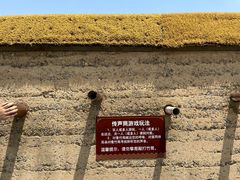 -宁波杭州湾国家湿地公园