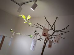 -Oasis coffee燕谷咖啡(公信店)