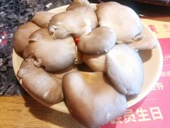 平菇-蜀大侠火锅(森兰花园城店)