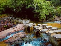 -广州白江湖森林公园