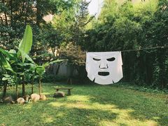 -胶囊画廊