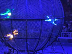 -俄罗斯国家大马戏团