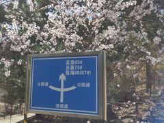 -北京鹫峰国家森林公园
