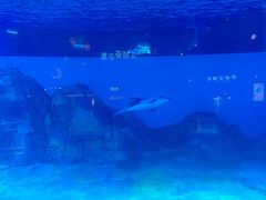 -长隆横琴湾酒店(珠海旗舰店)
