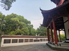 -绳金塔
