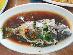 -洲晓鲜·舟山海鲜大排档(朱家尖风景区店)