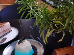 -Willing·Coffee&Brunch&Dinner(万达店)