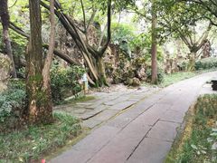 -棠湖公园