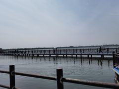 -鹅湖玫瑰文化园