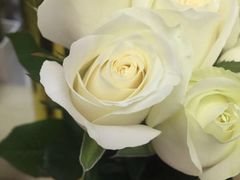 -亭亭鲜花店(中山北路店)