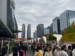 -合景·悠方(成都店)