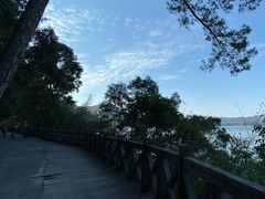 -广州市流溪河国家森林公园