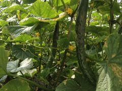 iphone_upload_pic-新江湾城公园