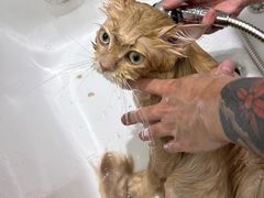 -FAELING PETS美天灵宠物(富力广场店)