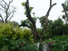 -张坝桂圆林公园