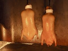 -宫燕府·京菜·烤鸭·淮扬菜(王府中心店)