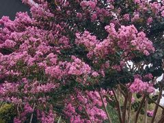 -杭州城北体育公园