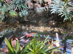 -聚缘堂·海鲜私房菜(松岭路店)